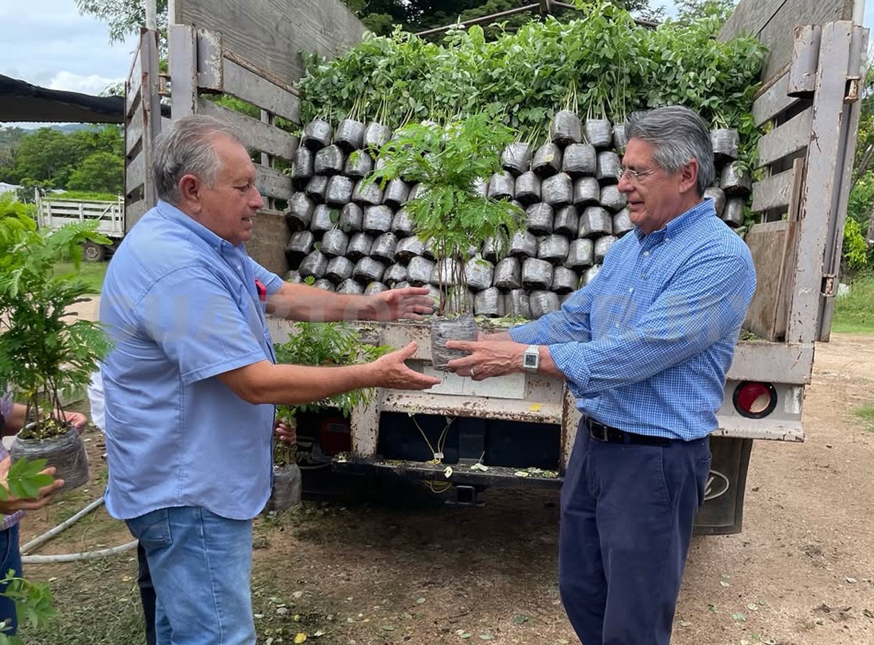 Entregan más de 12 mil plantas nativas