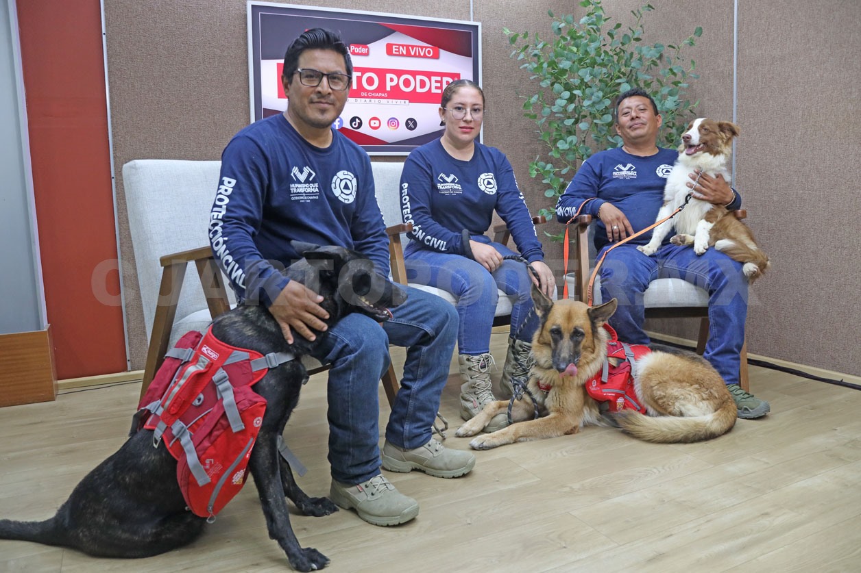 Unidad Canina, ejemplo de resiliencia en Chiapas