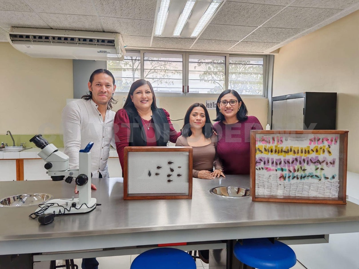 Logran financiamiento para proyecto en comunidades