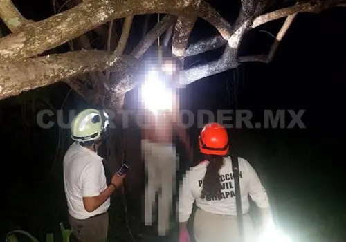 Hallan ahorcado a un hombre en árbol