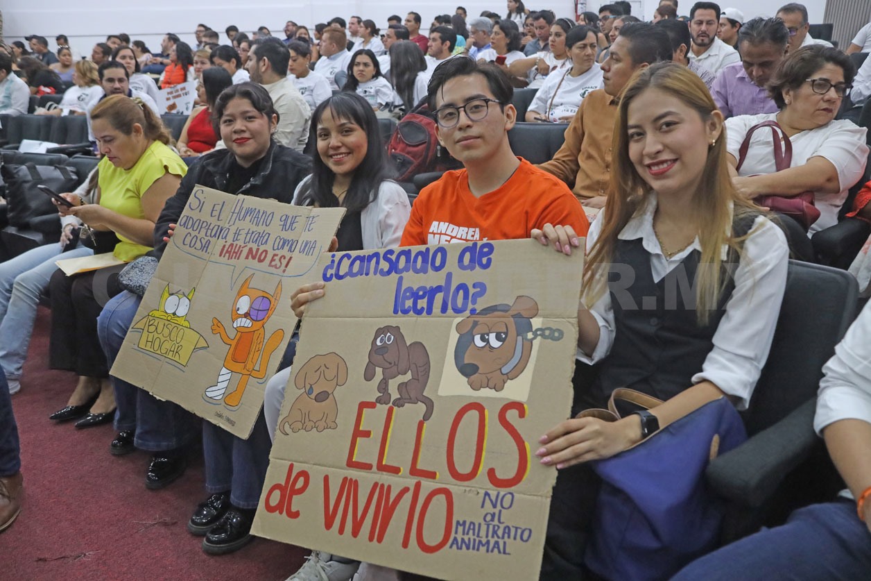 Congreso tipifica el maltrato animal