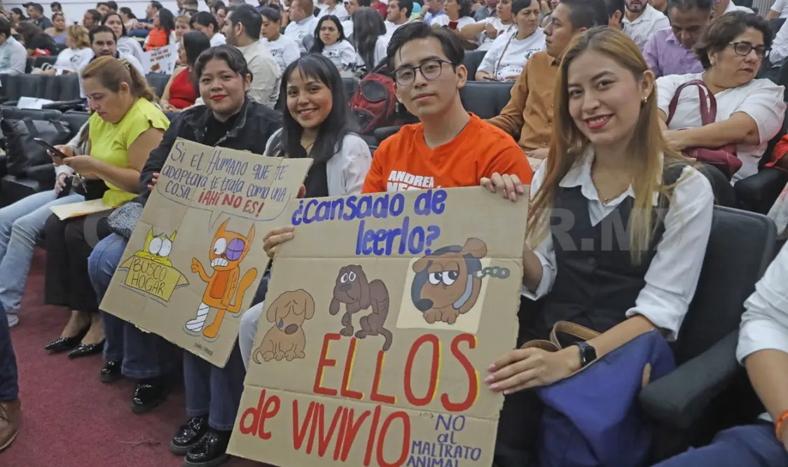 Hoy en Chiapas ya existe el delito de maltrato animal. Carlos López / CP