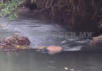 Un cuerpo aparece en el río Cosalapa