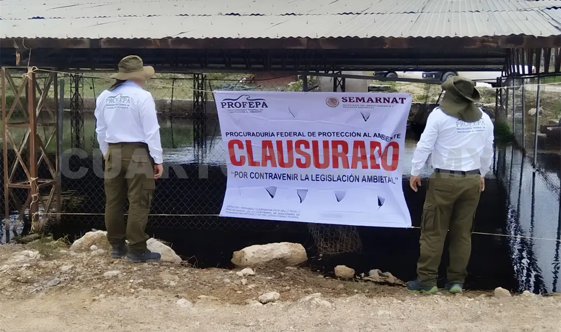 Personal de la Profepa colocando sello de clausura. CP