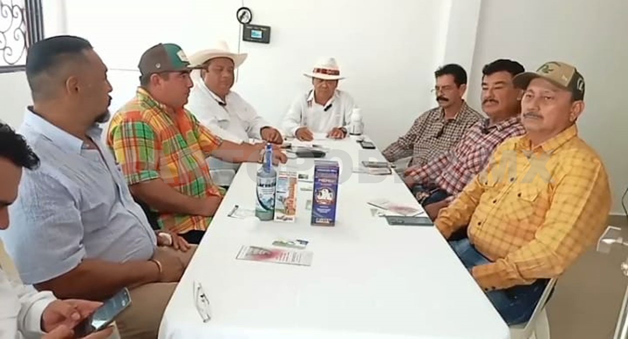 Unen esfuerzos contra el gusano barrenador