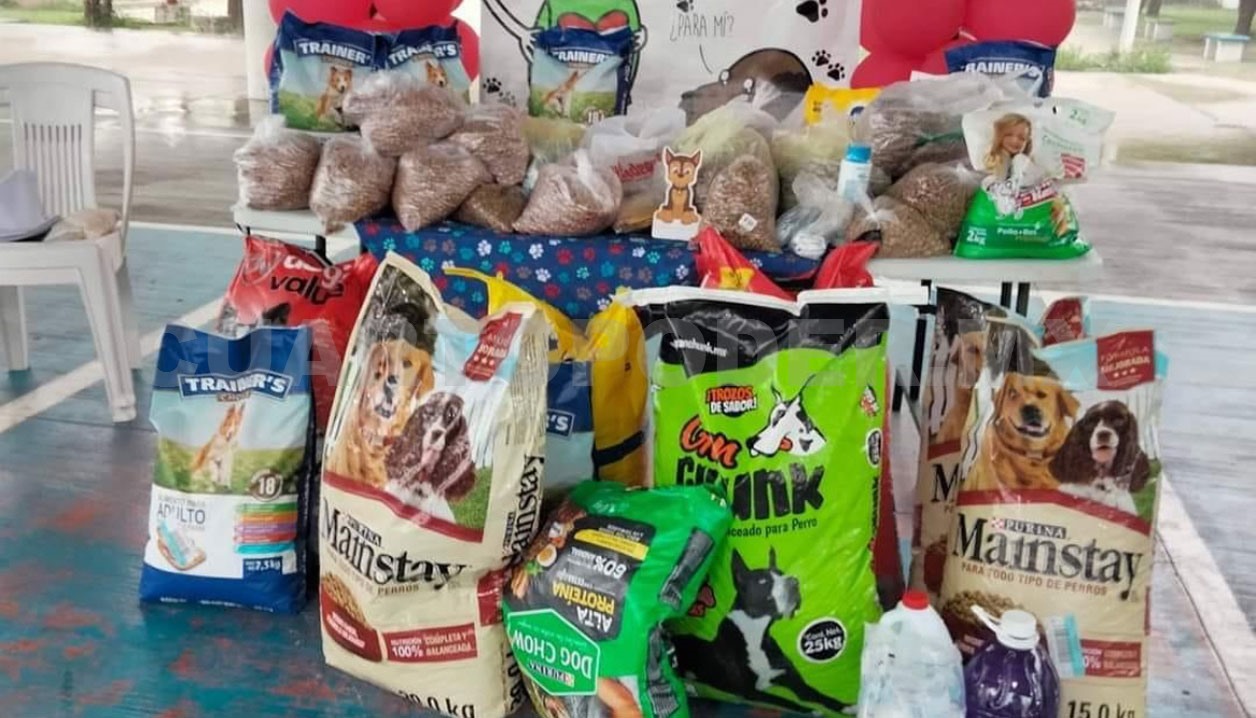 Invitan a la tercera edición del Croquetón 2025