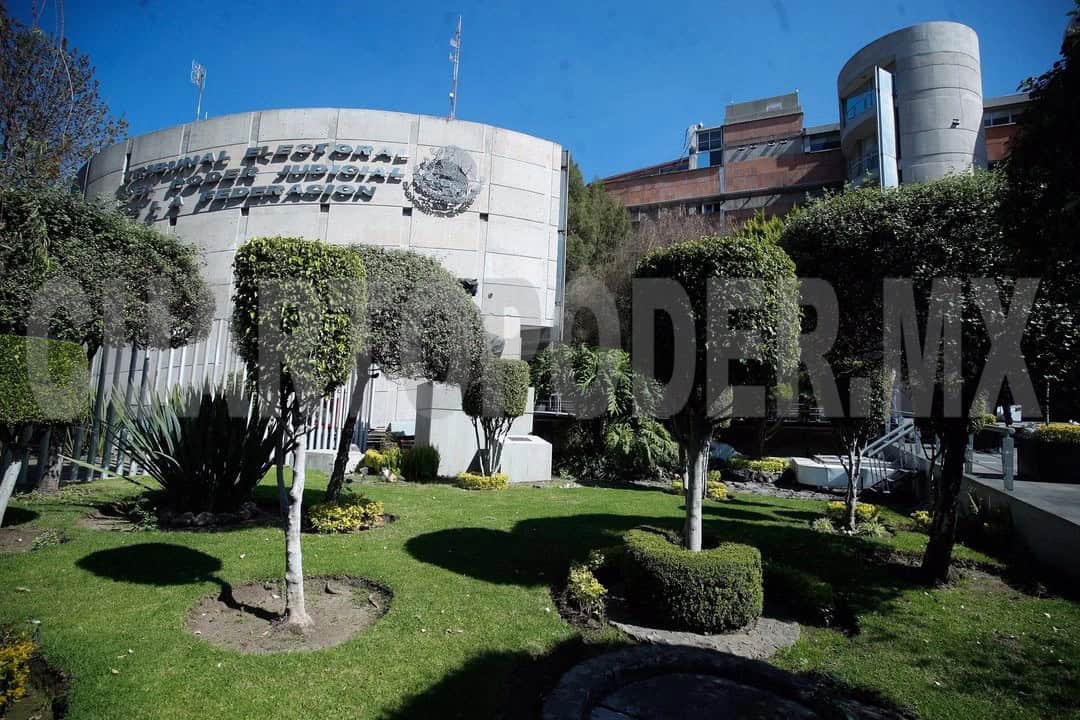 Sheinbaum deja en manos del TEPJF decisión sobre 46 candidatos no elegibles a cargos judiciales