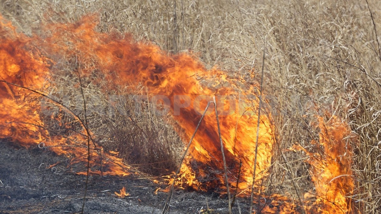 Más de 32 mil hectáreas afectadas por incendios