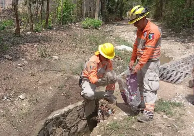 Llevarán a cabo campaña de limpieza ante lluvias