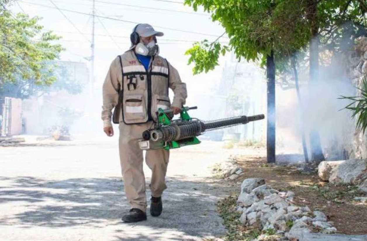 Registran 88 casos positivos de dengue
