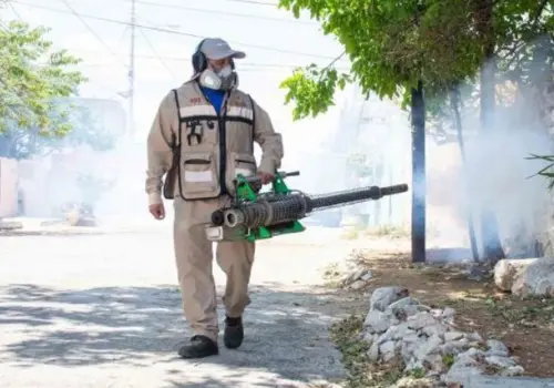 Registran 88 casos positivos de dengue