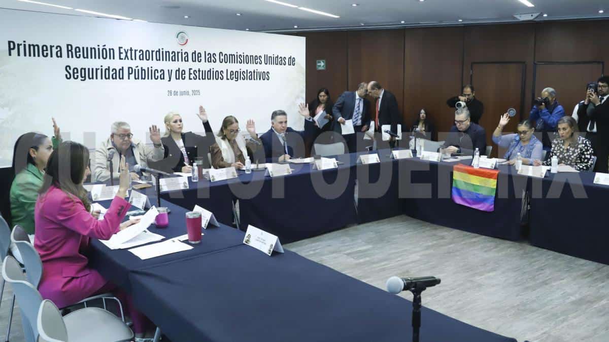 Avalan nueva Ley de Seguridad Pública