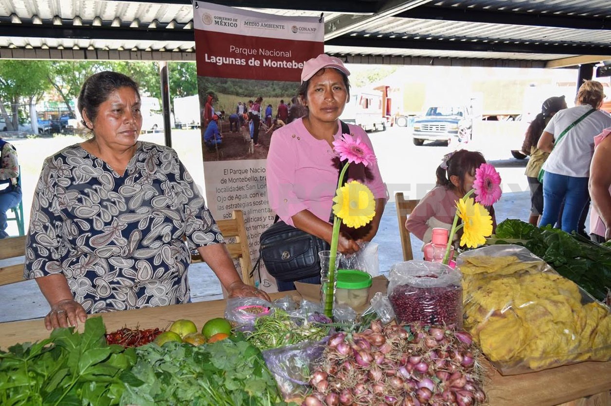 Sigue el impulso a la agroecología