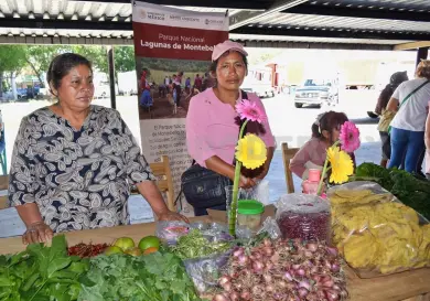 Sigue el impulso a la agroecología