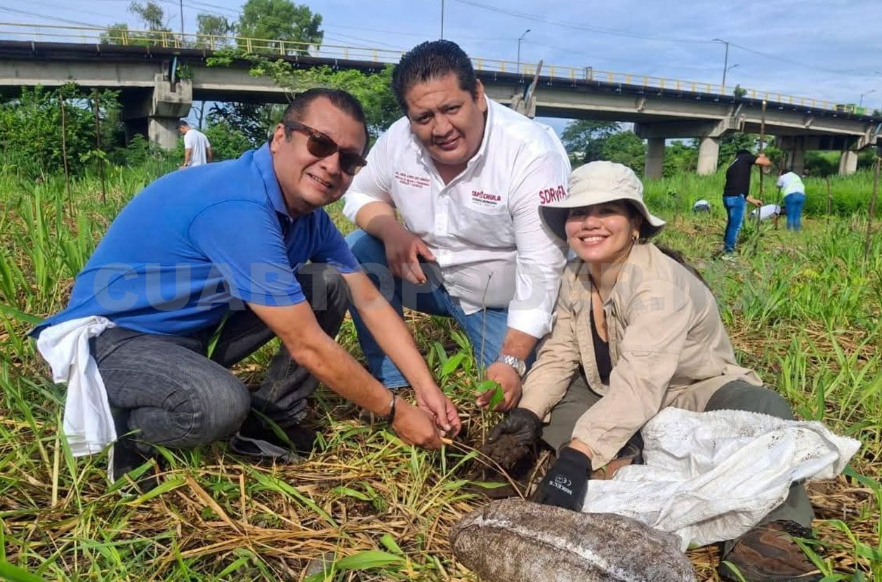 Reforestan Bosque San Francisco de Asís en Tapachula