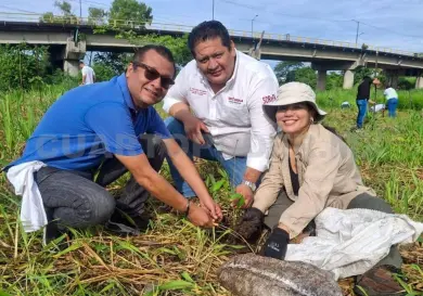 Reforestan Bosque San Francisco de Asís en Tapachula