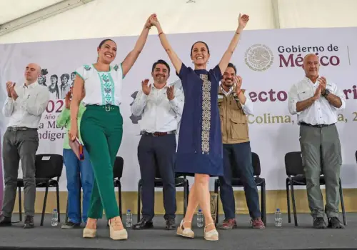 Sin elección, nunca hubiera llegado un indígena a la Corte