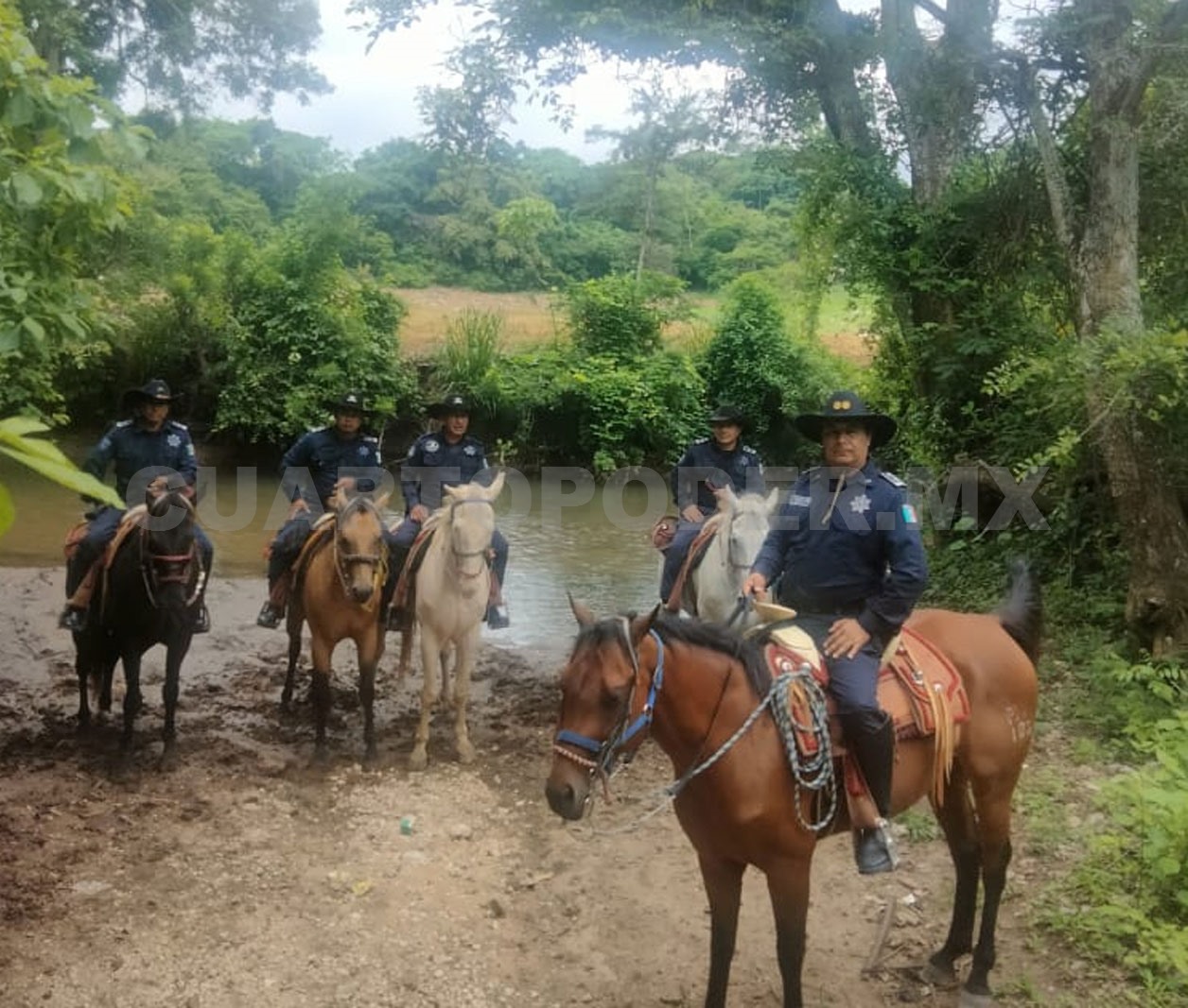 Establece SSP vigilancia con binomios equinos