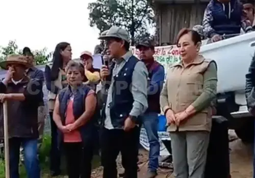 Realizan campaña de reforestación en SCLC