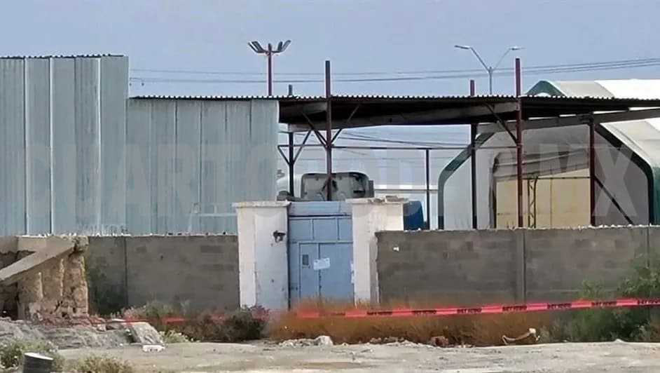 Criadero de cerdos ocultaba el olor de 383 cadáveres en crematorio clandestino de Chihuahua