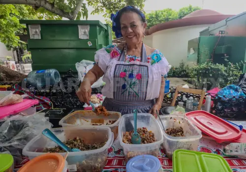 Adultos mayores llenan de vida el Parque San Marcos