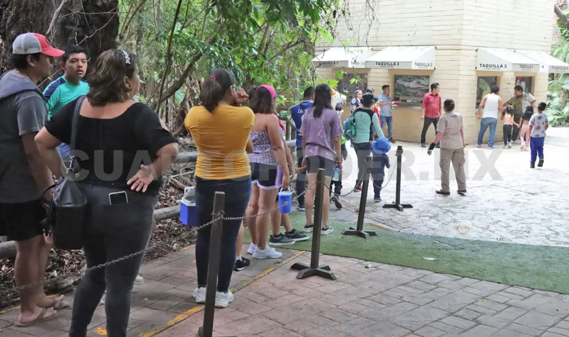 La medida es responsable, en el entendido que la autoridad brindará un apoyo económico extra. Diego Pérez / CP