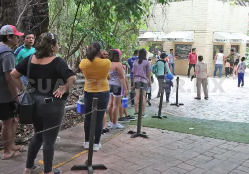 Hoy podrás entrar gratis al ZooMAT