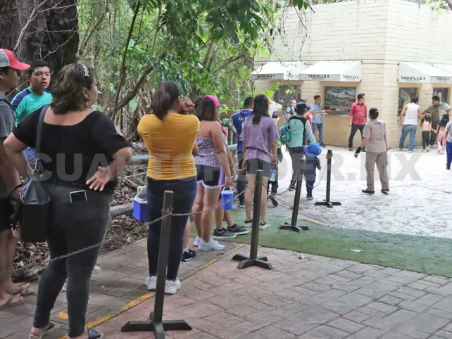 Hoy podrás entrar gratis al ZooMAT