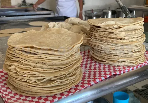 Industriales de la tortilla buscan subsidio de gobierno