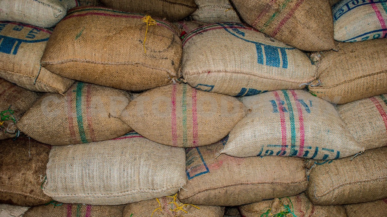 Exportaciones registran caída de 3.9 %: Inegi