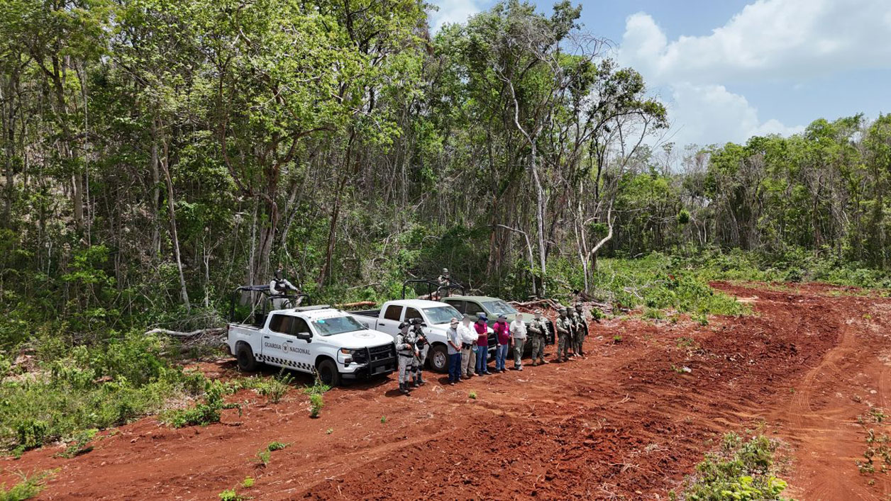 Clausuran dos mil 600 ha de selva en tres estados