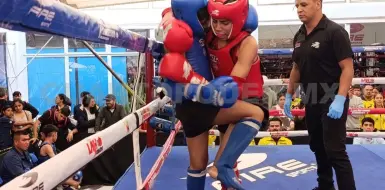 Cuatro peleadores clasifican al Panamericano