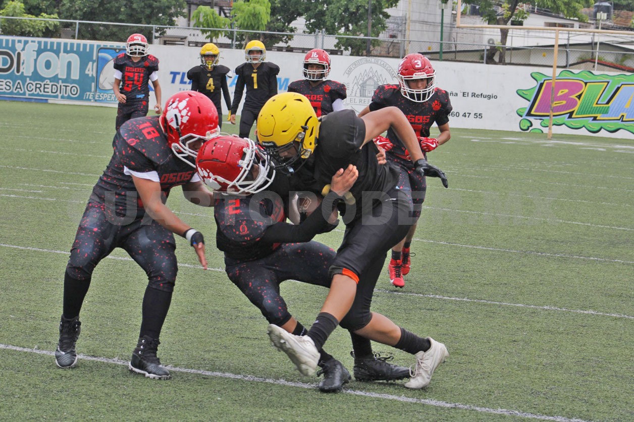 Osos mantiene su paso invicto en bantam