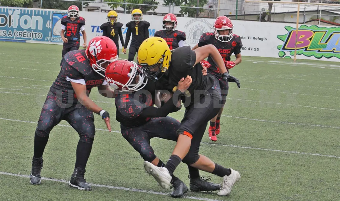 Los Osos de Chiapas demostraron por qué son los favoritos rumbo a las semifinales de la categoría bantam. Cortesía