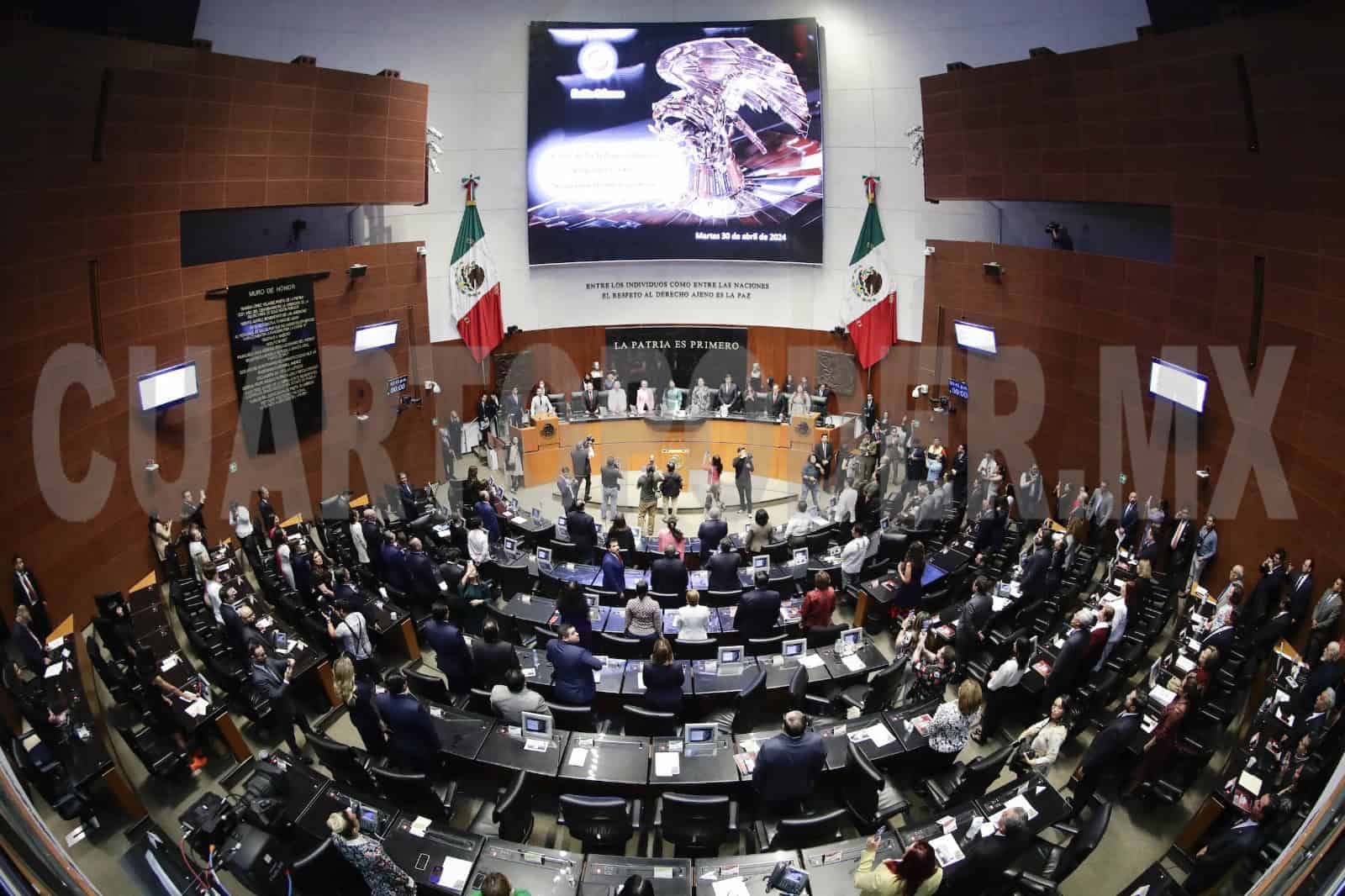 Senado tomará protesta a nuevas personas juzgadoras el 1 de septiembre en sesión solemne