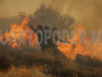 Incendios en Grecia y Turquía fuerzan evacuaciones masivas