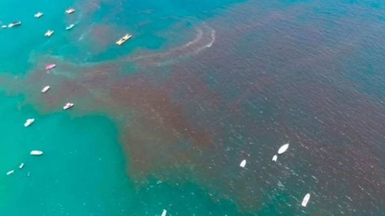 Alerta en Yucatán por llegada de marea roja