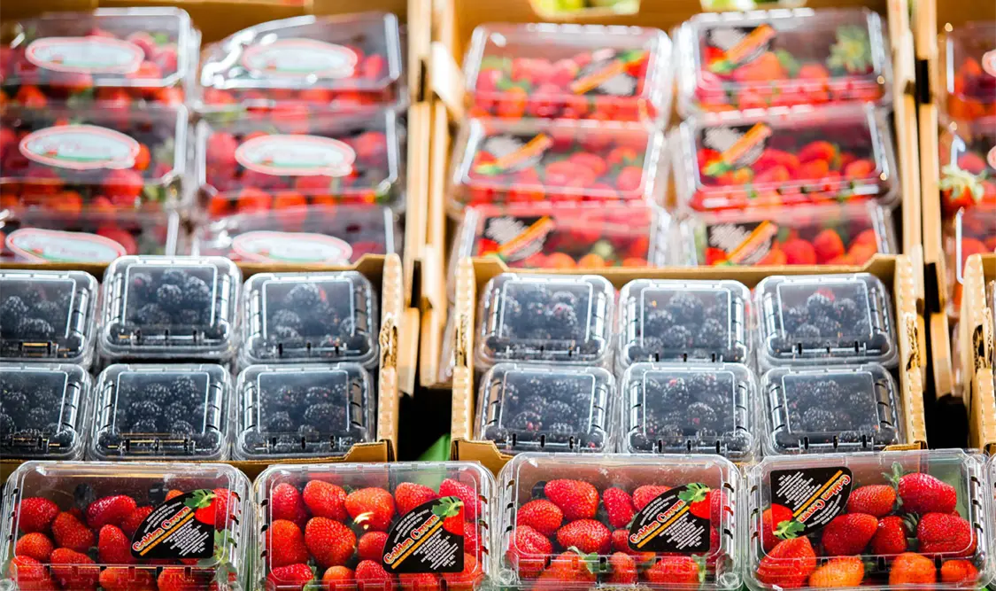 Se perfilan ventajas a los productos mexicanos, señaló Marcelo Ebrard. Cortesía