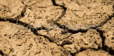 Destacan investigación sobre restauración de suelos
