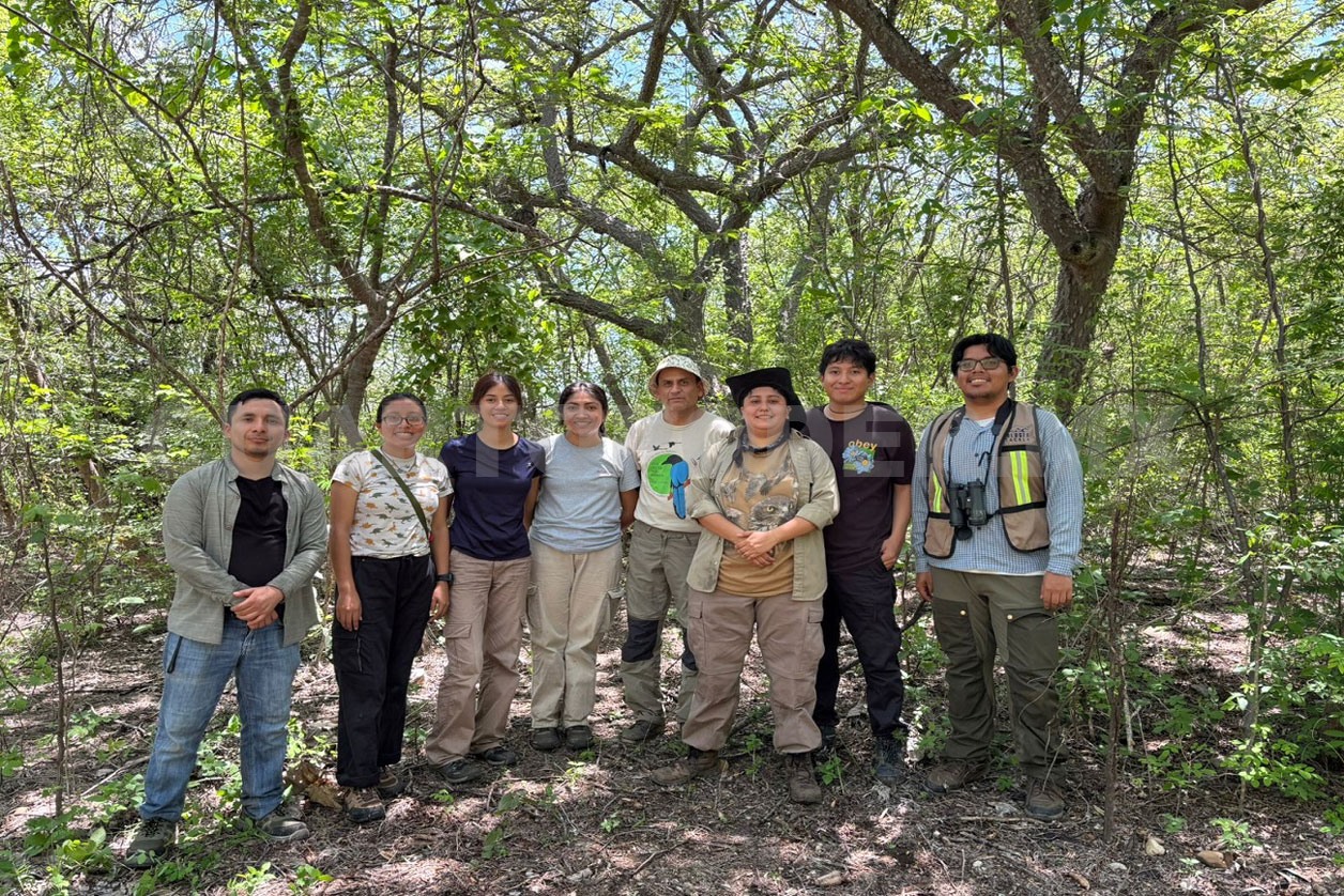 Avanza proyecto de monitoreo de aves en Chiapas