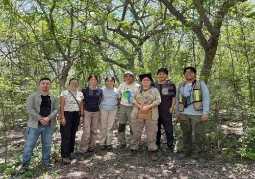 Avanza proyecto de monitoreo de aves en Chiapas