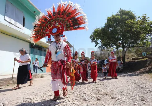 Danza de la guacamaya: cuando "el cuerpo habla"