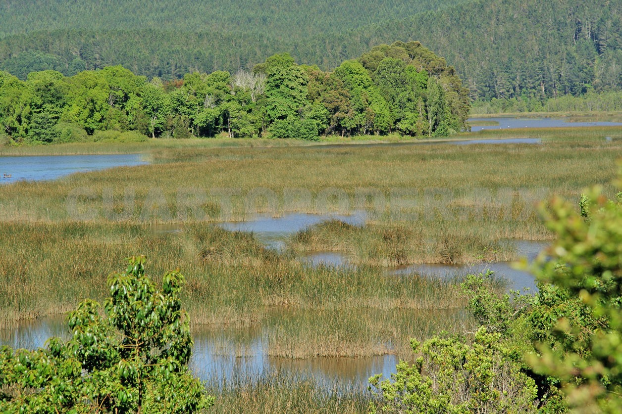 Alta vulnerabilidad a inundaciones en SCLC
