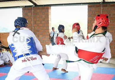 Halcones suben de grado