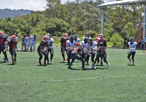 Disputan decisiva jornada en bantam
