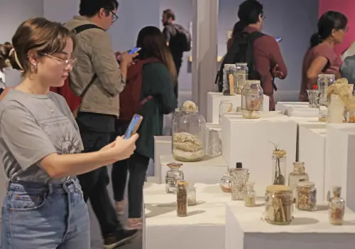 Llega universo de Yani Pecanins a museo