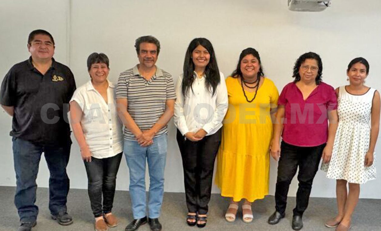 Posible crear materiales textiles a partir de hongos