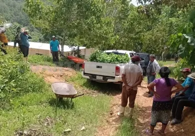 Entregan plantas para restaurar a La Sepultura