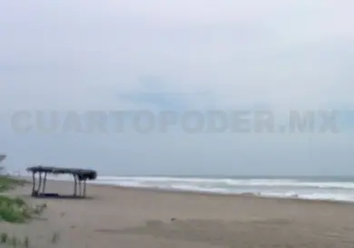 Aumenta el saqueo de huevos de tortuga