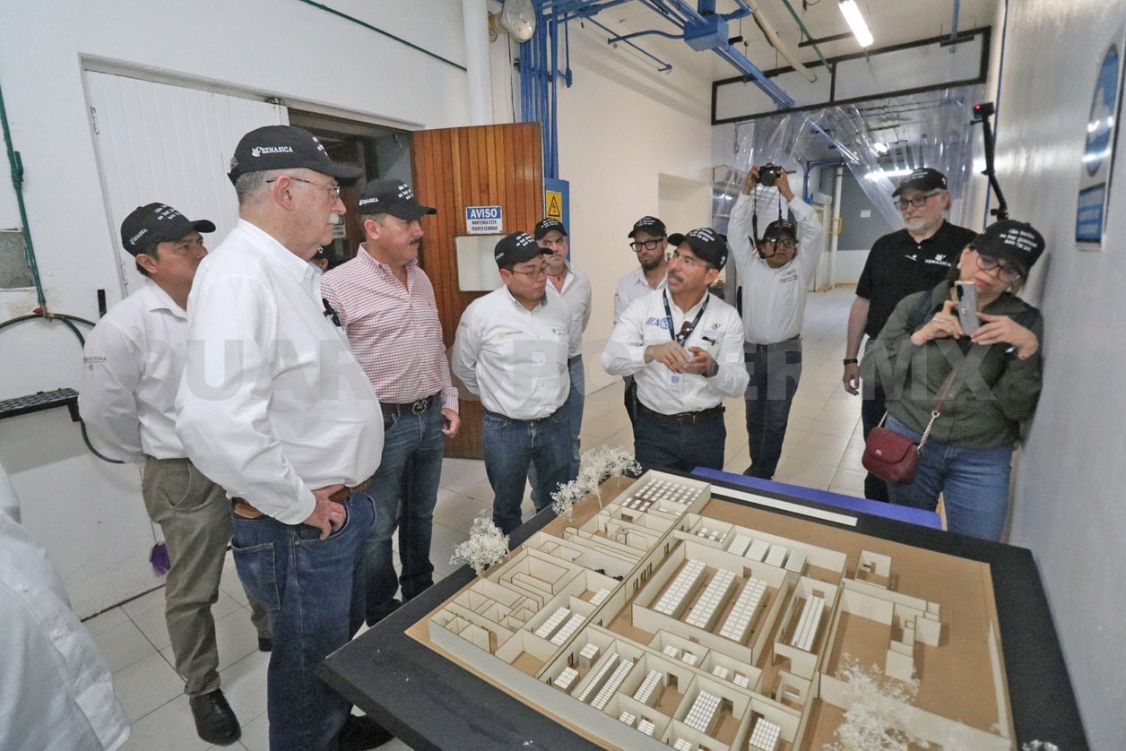 Inician reconversión de Moscamed a gusano barrenador